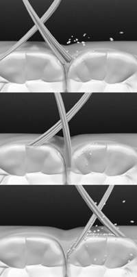 �������� �������� ������ CrissCross